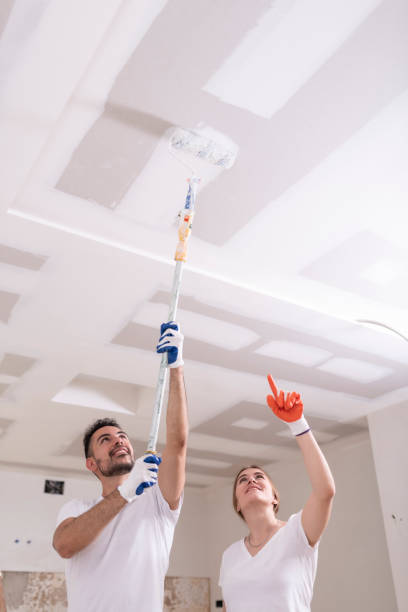 Shafer, MN Mold Removal Company