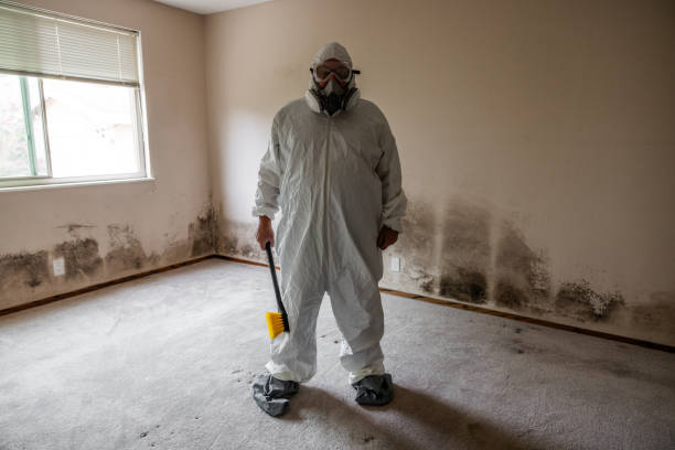 Mold Remediation for Vacation Homes in Shafer, MN